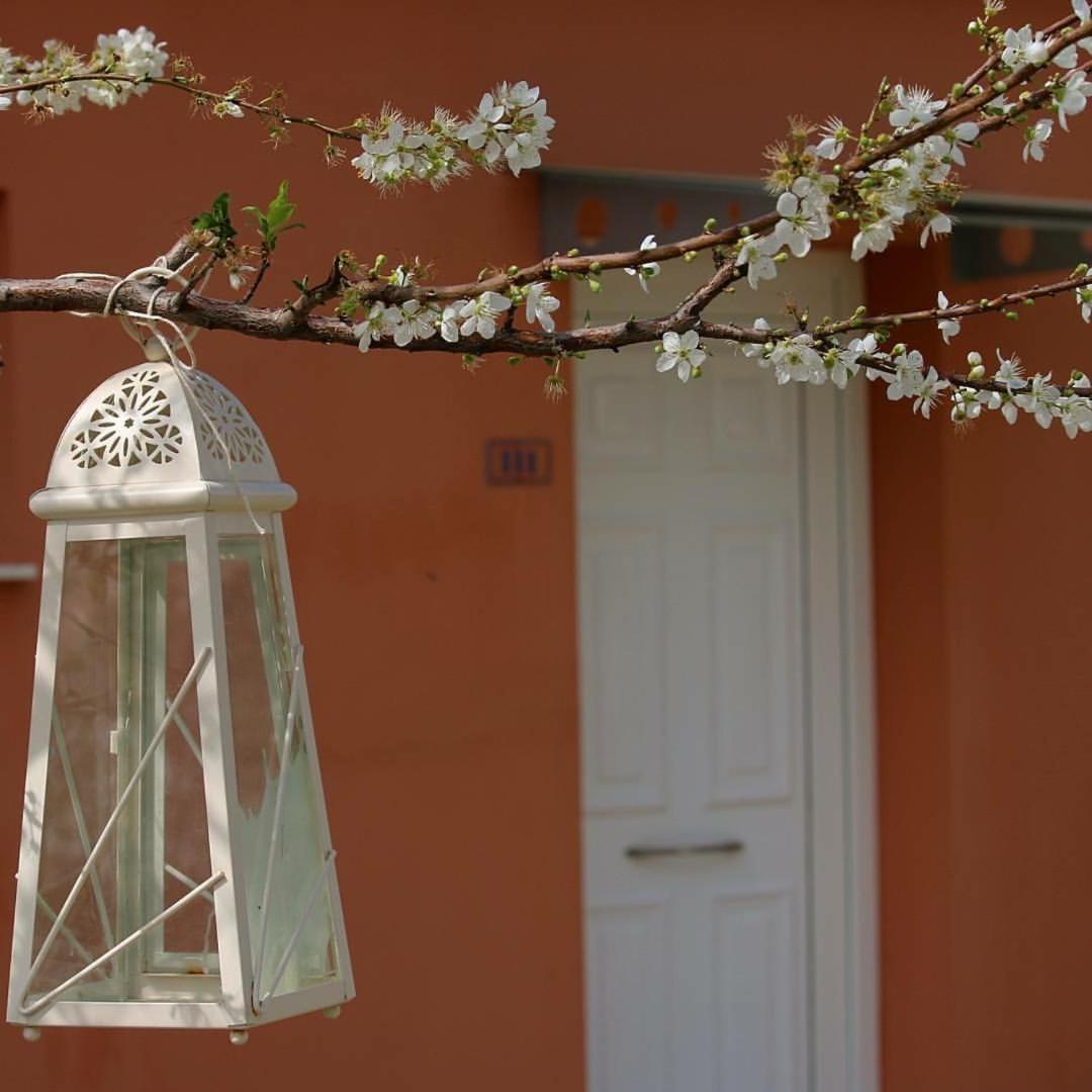 Thalassa Hotel & Spa Palairos Bagian luar foto