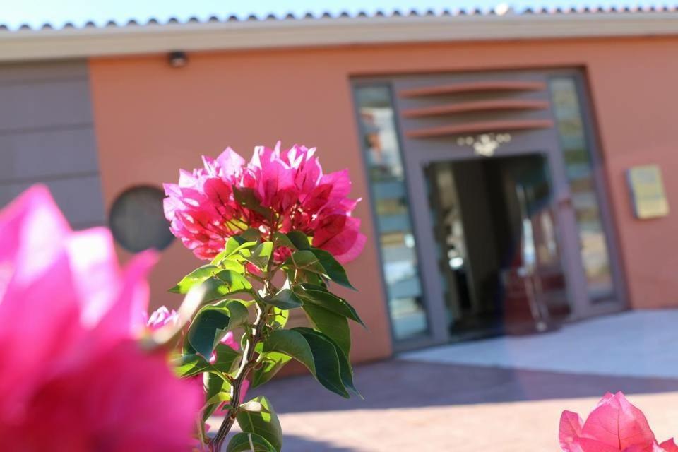 Thalassa Hotel & Spa Palairos Bagian luar foto