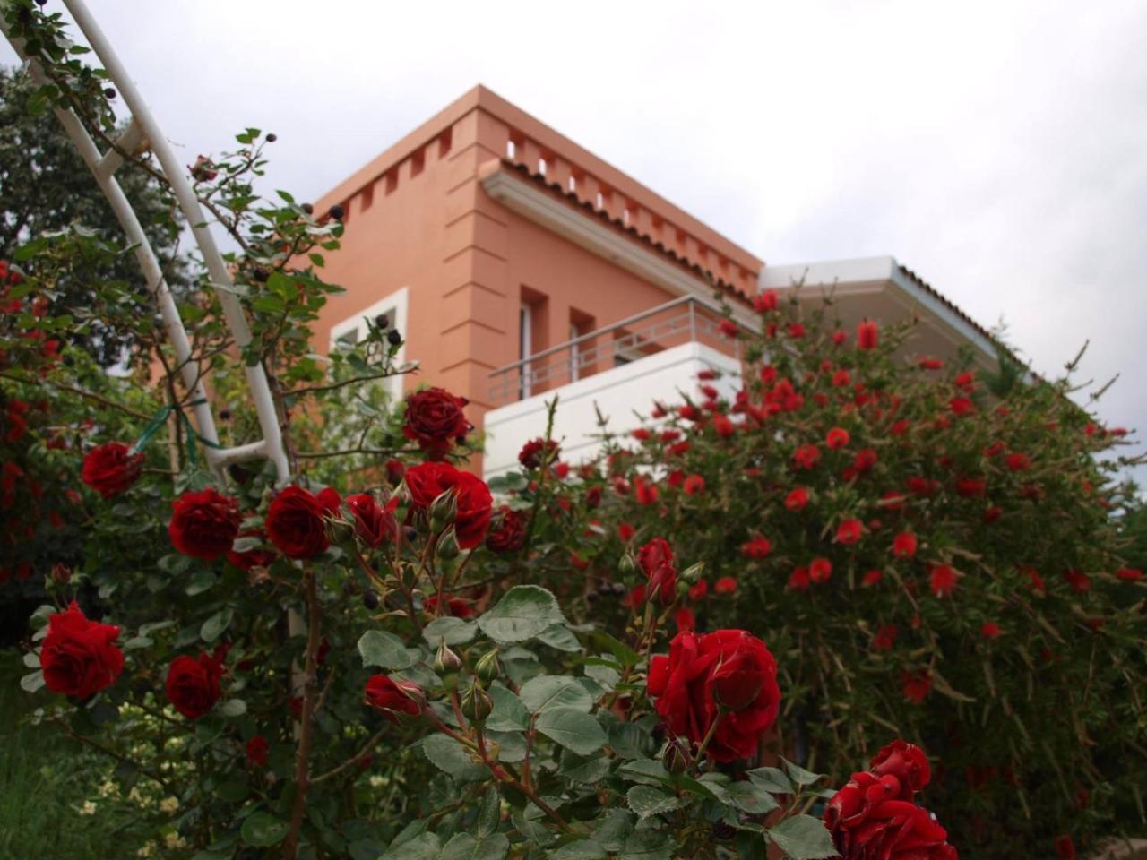 Thalassa Hotel & Spa Palairos Bagian luar foto